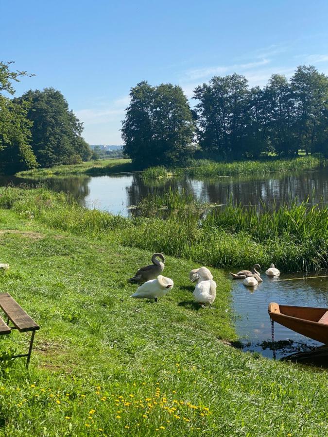 Idyllische Ferienwohnungen In Mossendorf Blick Zur Naab เบอร์เกลนเกนเฟล์ด ภายนอก รูปภาพ